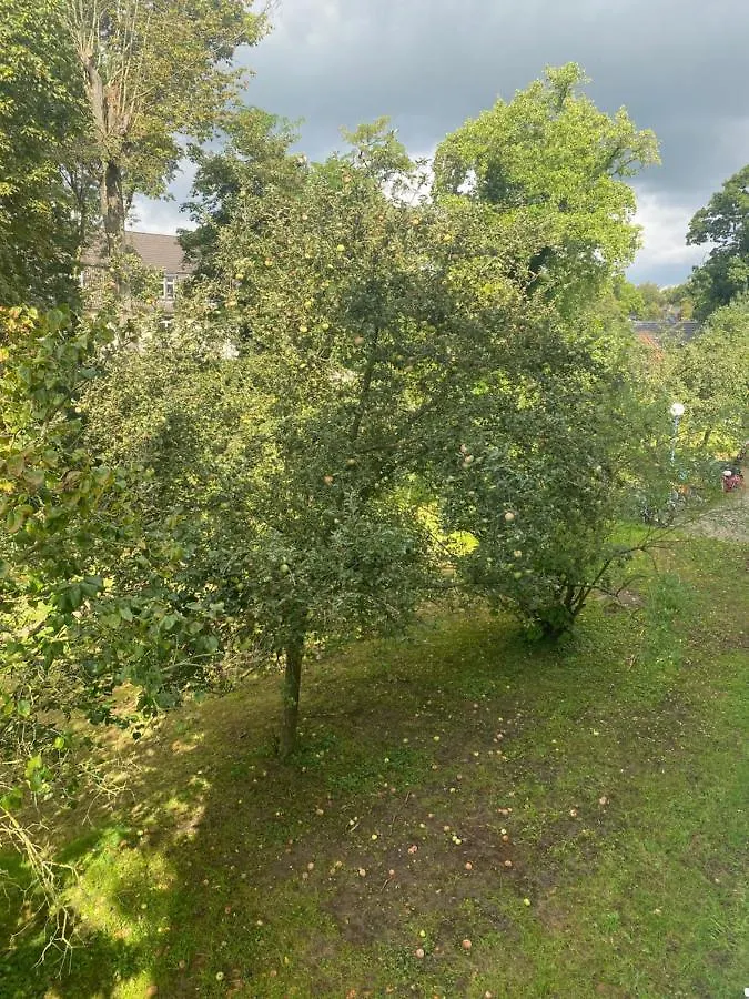 Ferienwohnung Messeapartment Kostenloses Wlan Dusseldorf